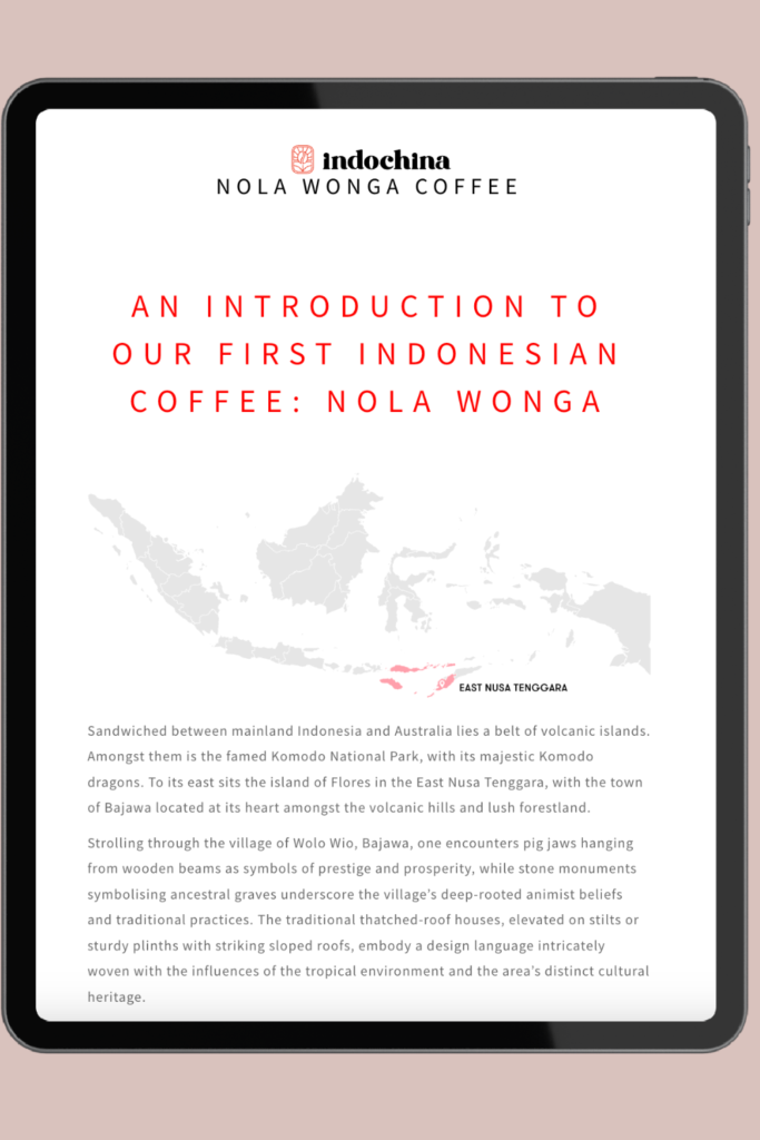 An introduction to our first Indonesian coffee: Nola Wonga